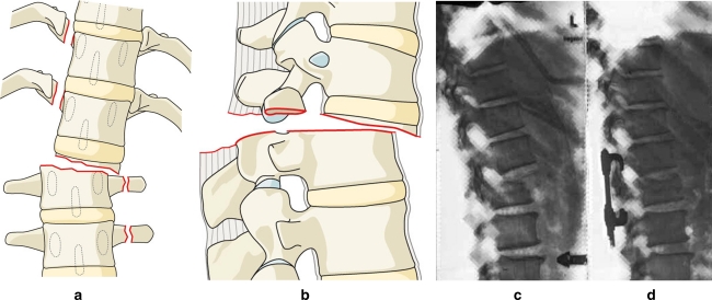 Fig. 3