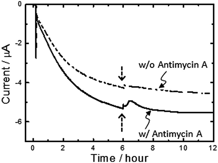 FIGURE 4