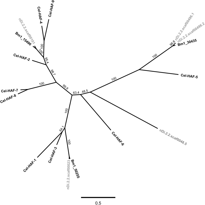 Fig. 2