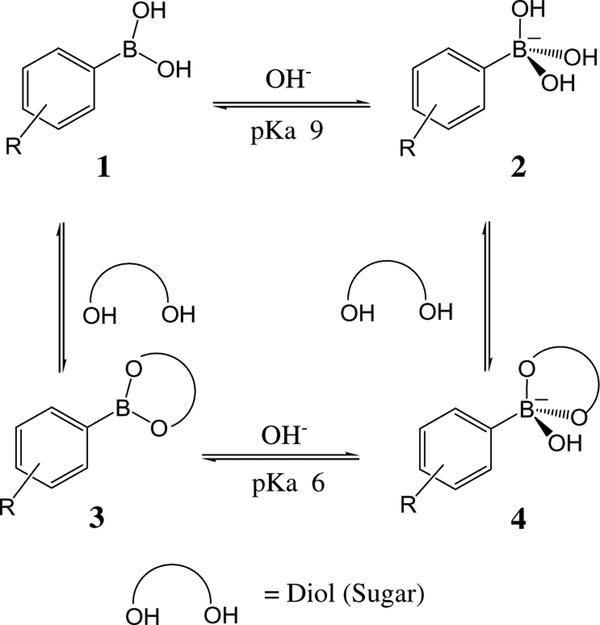 Scheme 1.