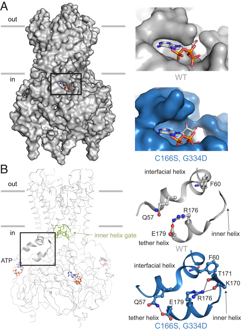 Fig. 4.