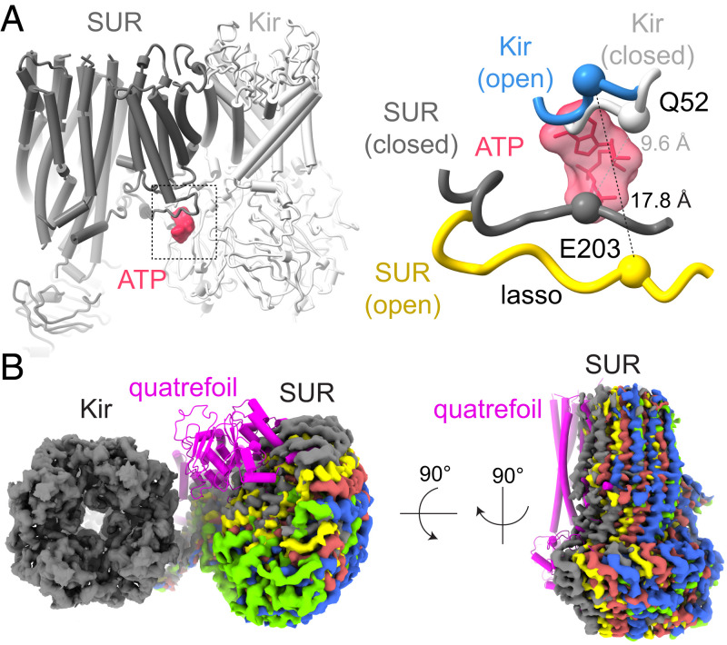 Fig. 6.