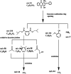 Fig. 11