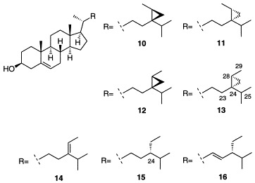 Scheme 2