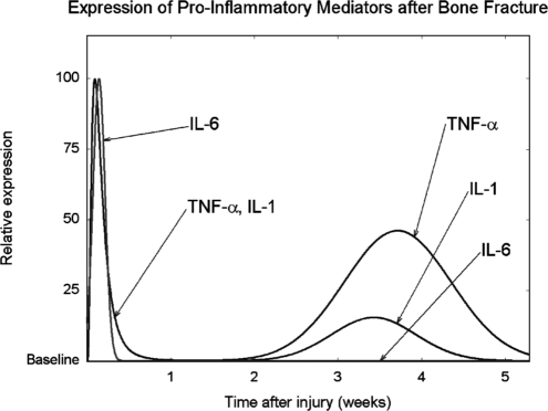 FIG. 1.