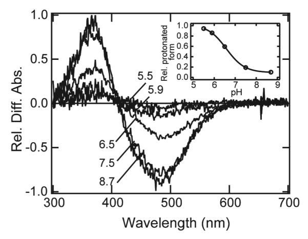 Figure 7