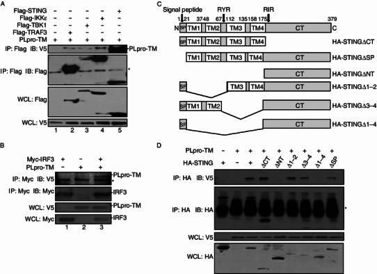 Figure 3