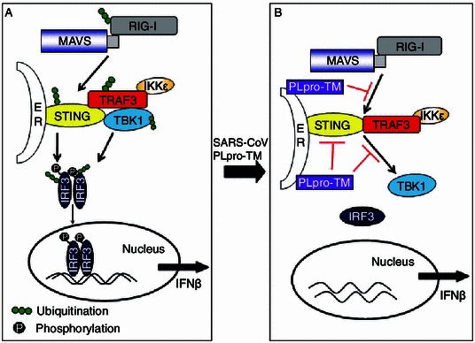 Figure 6