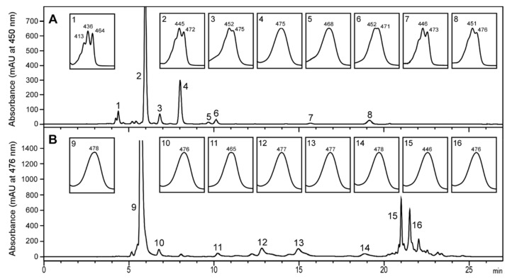 Figure 7