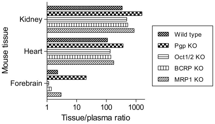 Figure 7