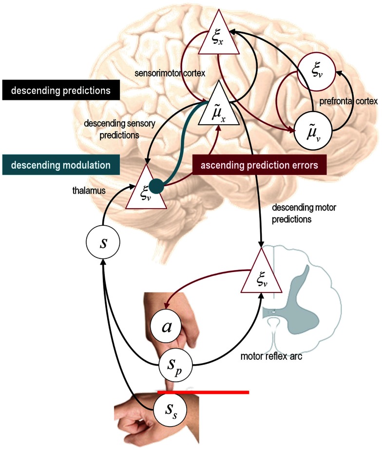 Figure 10