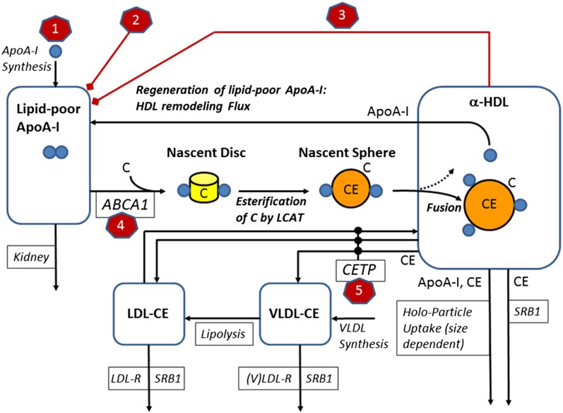 Fig. 1.