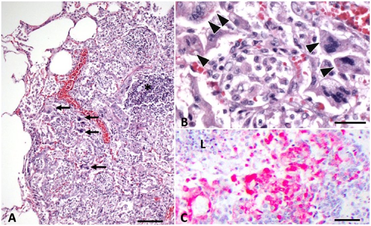 Figure 3.