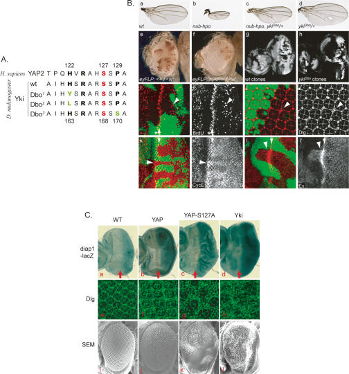 Figure 6.