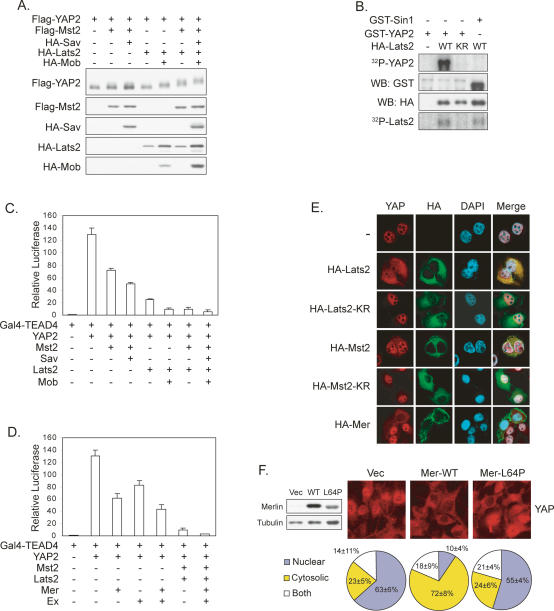 Figure 2.