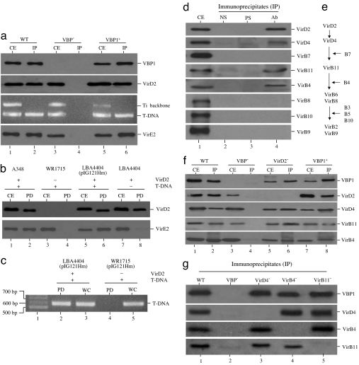 Fig. 4.