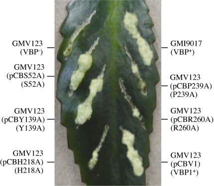 Fig. 3.