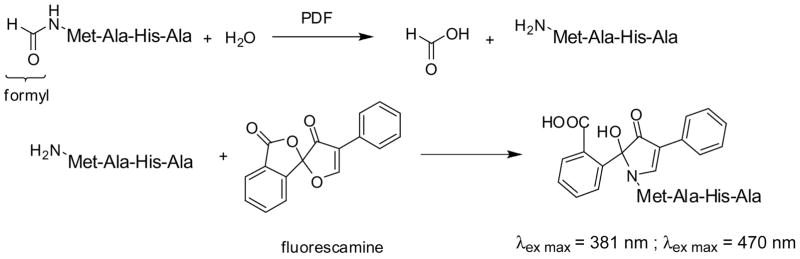 FIG. 7