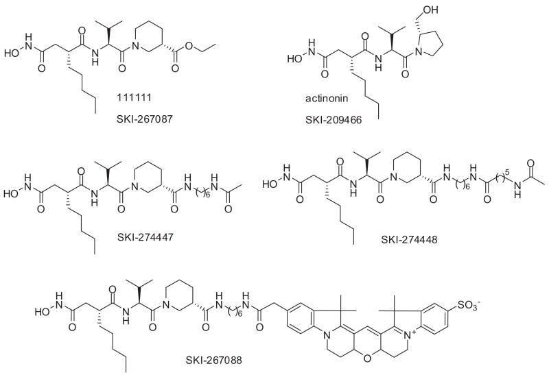 FIG. 3