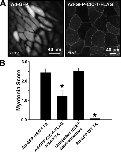 Figure 9.