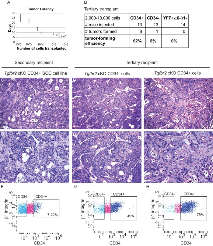 Figure 2—figure supplement 1.