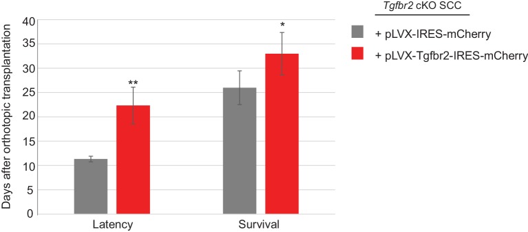 Figure 6—figure supplement 2.