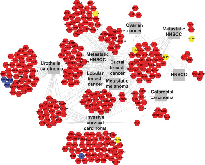 Figure 3—figure supplement 2.