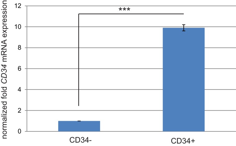 Figure 2—figure supplement 2.