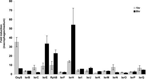 Figure 5.