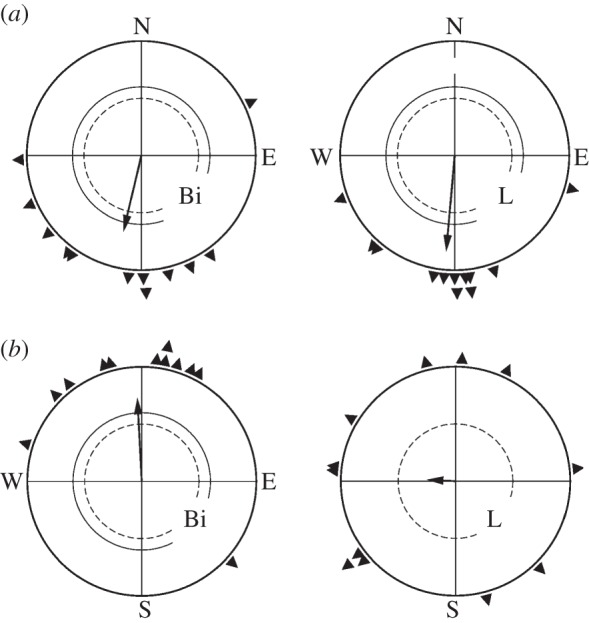 Figure 1.