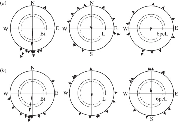 Figure 3.