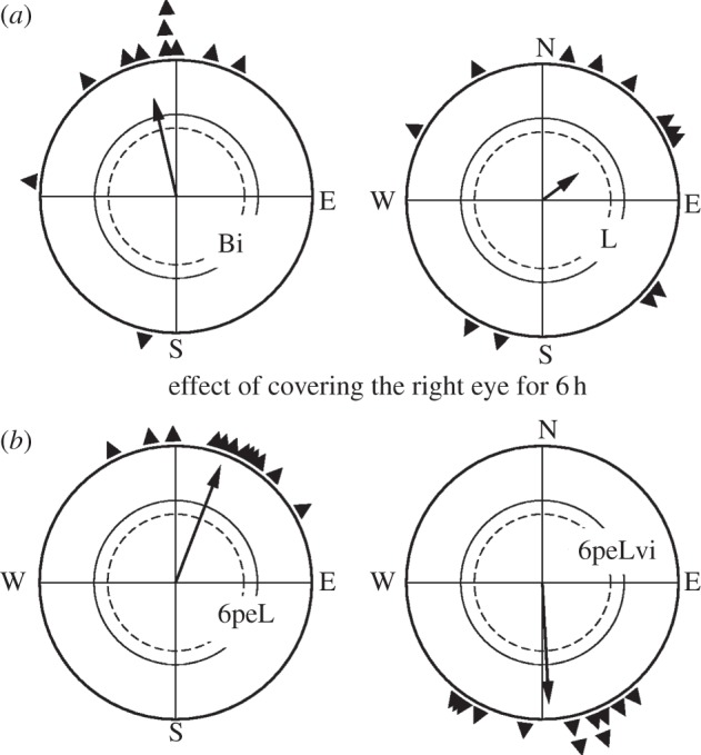 Figure 2.