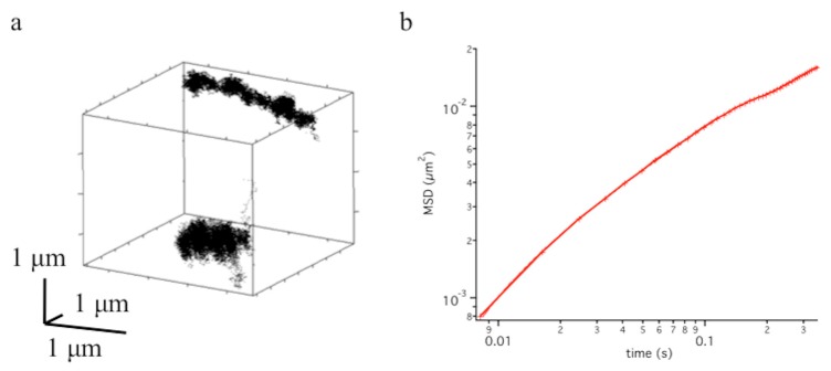 Fig. 5