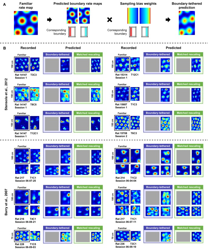 Figure 3—figure supplement 1.