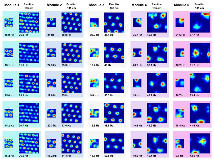 Figure 5—figure supplement 3.