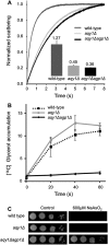 Fig. 1