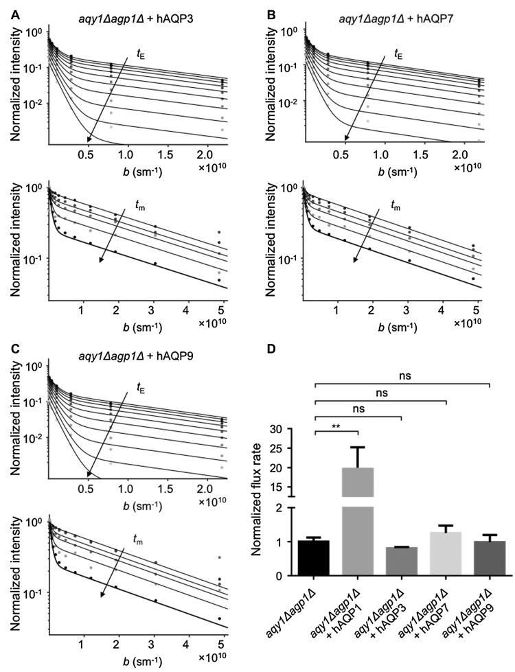 Fig. 3