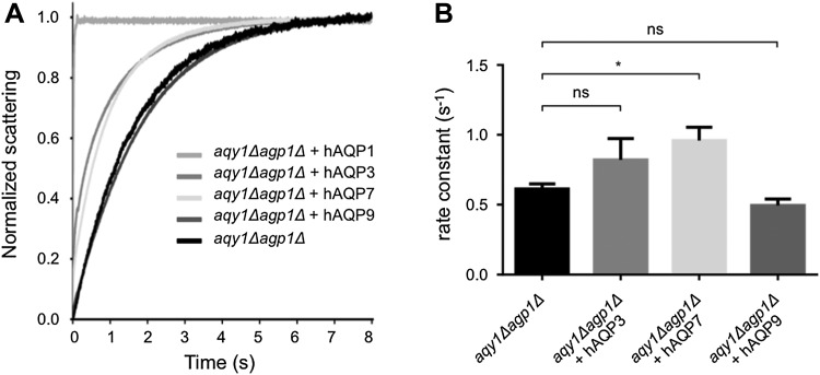 Fig. 4