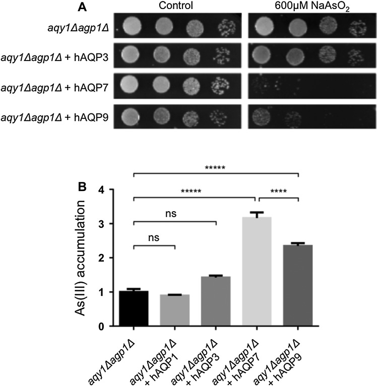 Fig. 6