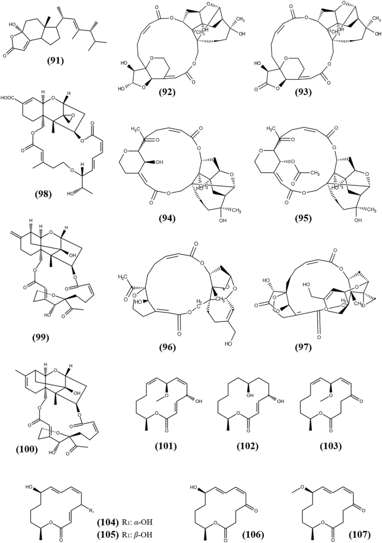 Fig. 7