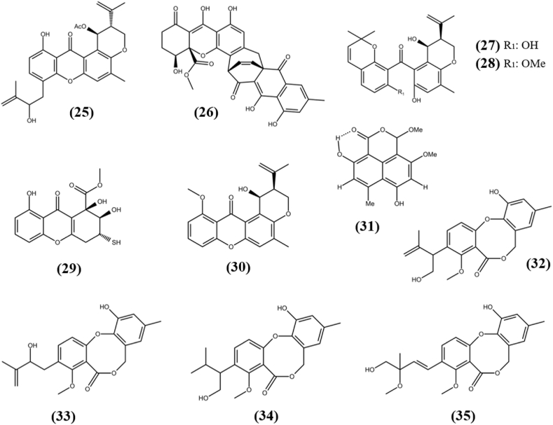 Fig. 3