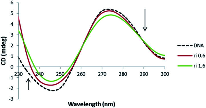 Fig. 10