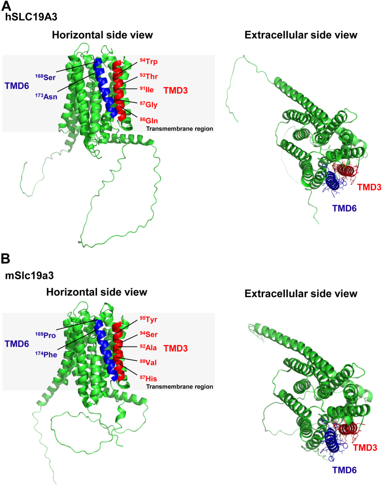 Figure 13