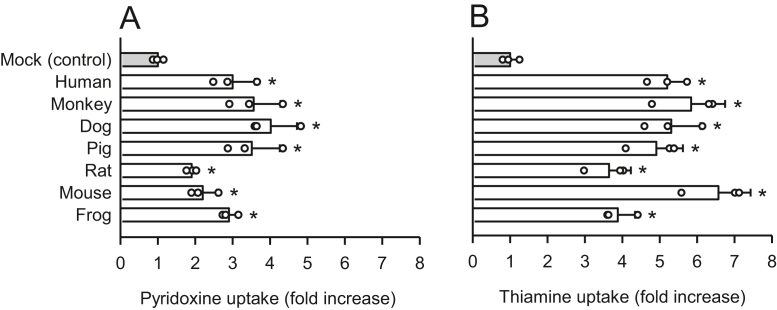 Figure 11