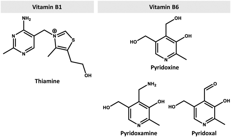 Figure 1