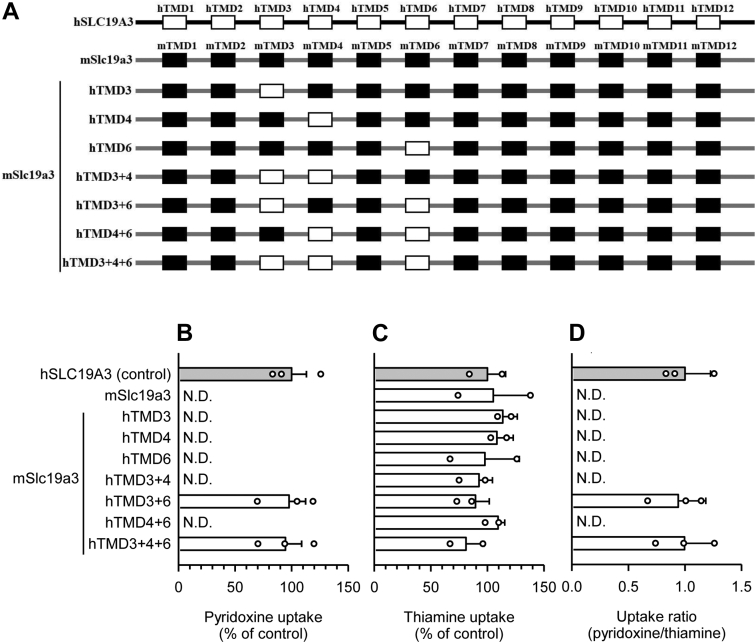 Figure 6