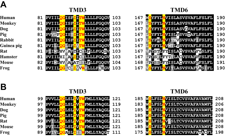 Figure 12