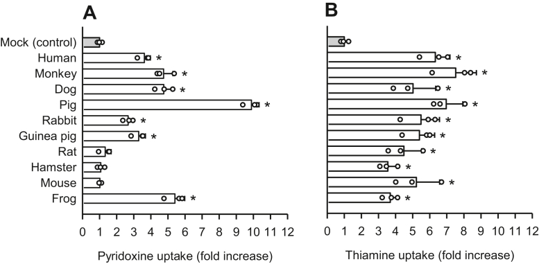 Figure 10