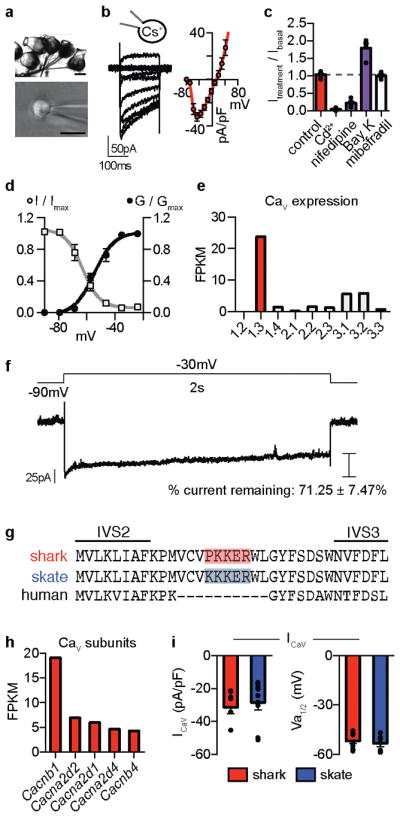 Extended Data Figure 1