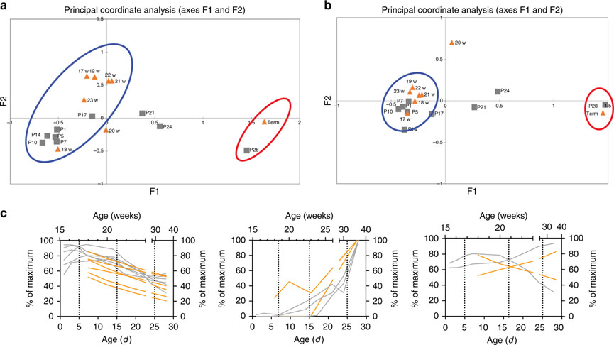 Figure 6: